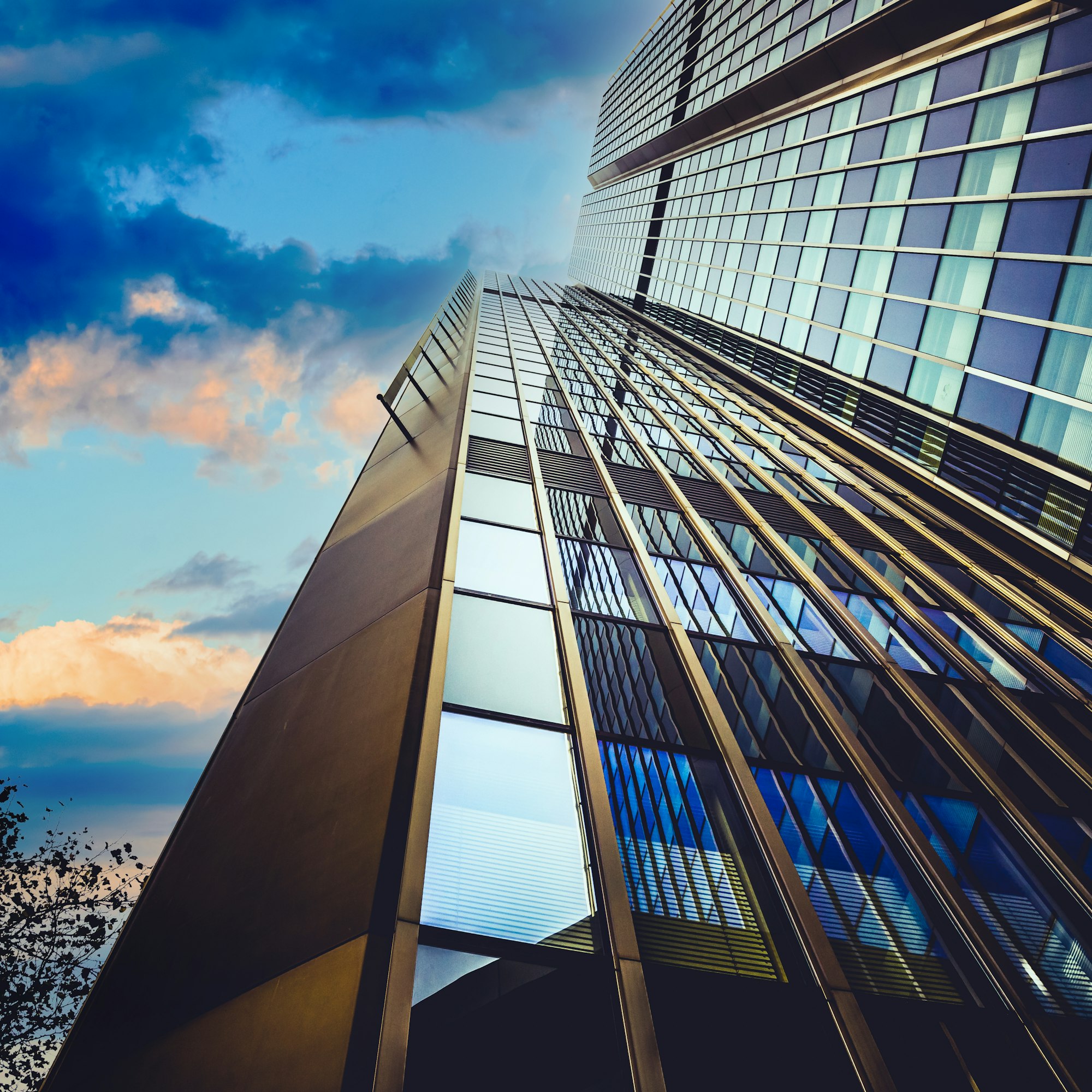 Skyward view of skyscrapers, business and corporate concept